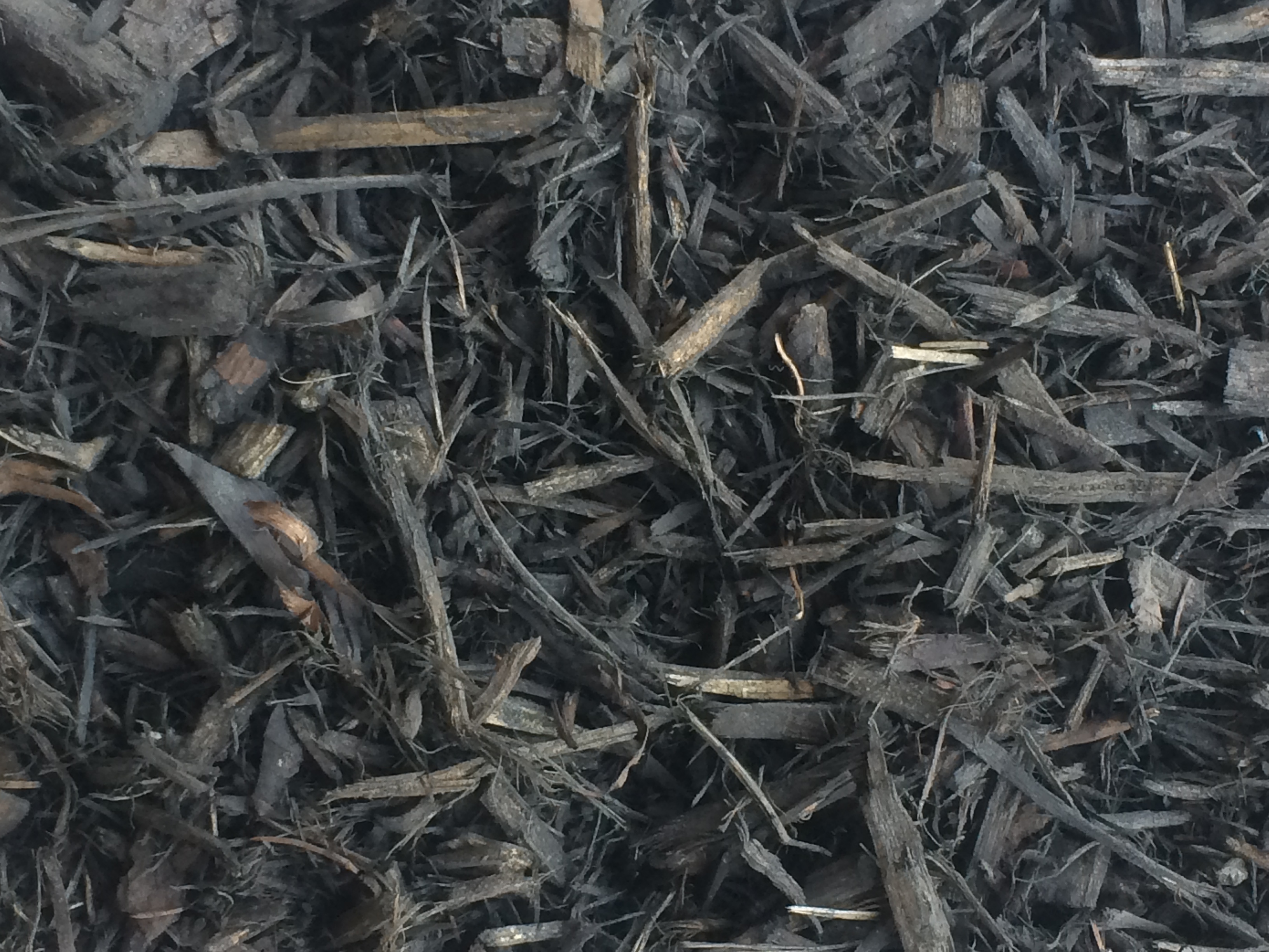Black Mulch