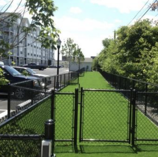 Canine_turf_il_supply_gate