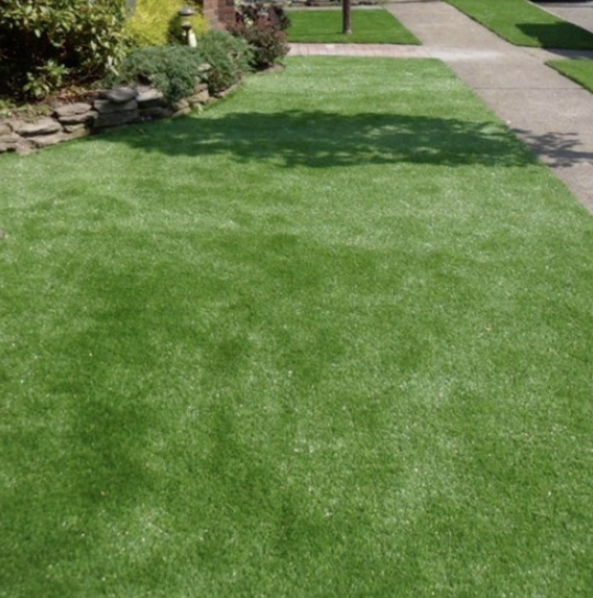 Family Friendly - Turf_il _suppy