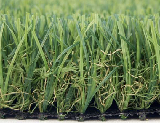 Montana_turf_close_up_IL_supply